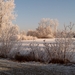 DSC00050