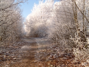 DSC00047