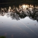 Weerspiegeling in het water