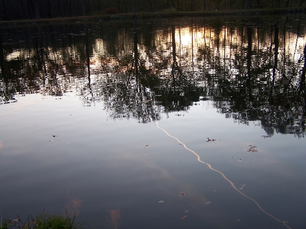 Weerspiegeling in het water