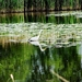 11-06-05 reiger4