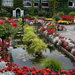 debo in tuin
