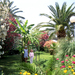 DEBORAH IN MALLORCA