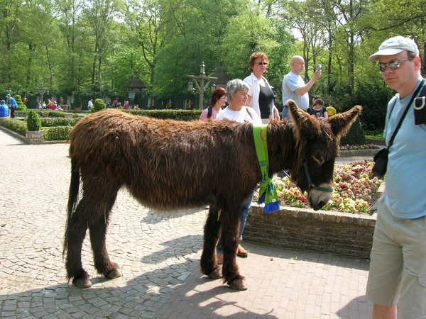 efteling 051