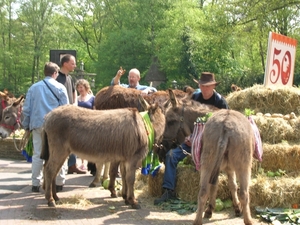 efteling 055