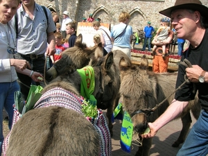 efteling 044