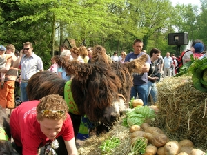 efteling 045