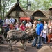 efteling 029