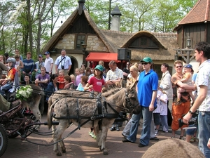 efteling 029