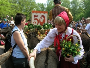 efteling 038