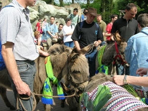 efteling 042