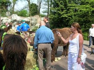 efteling 048