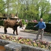 efteling 049