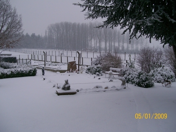 sneeuwpracht 001