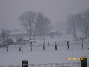 sneeuwpracht 006