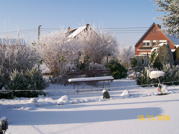 sneeuwpracht 013