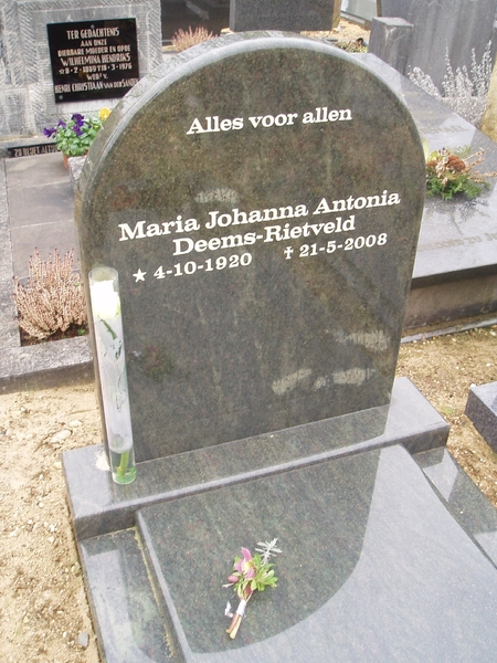 met roos en helleborusjes