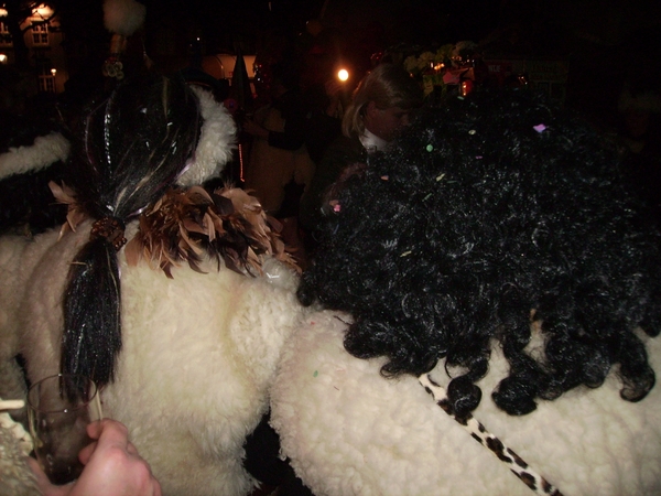 Vastelaovend 2007 (069)