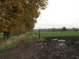 Pikkerie-bos van Aa nov 003