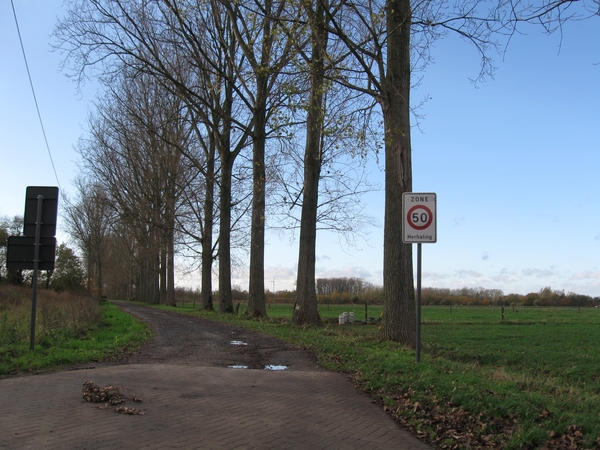 Pikkerie-bos van Aa nov 006