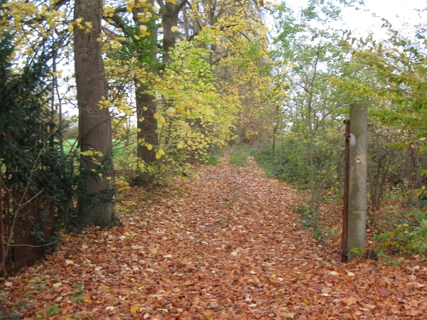 Pikkerie-bos van Aa nov 014