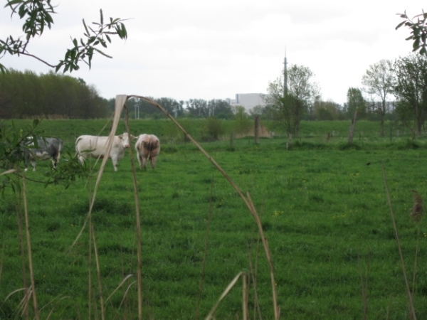 Sint-Rombouts en kapelletjes in Mei 020