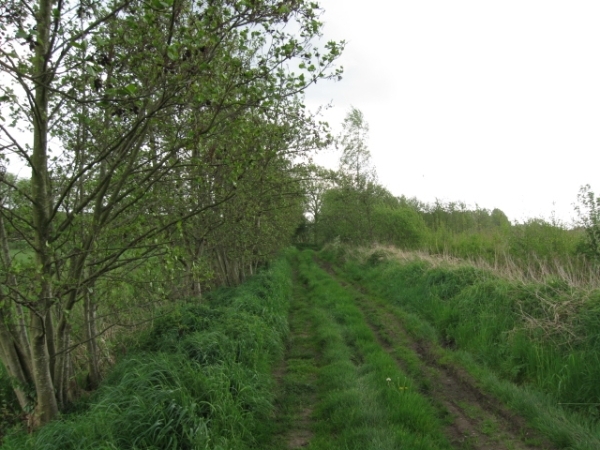 Sint-Rombouts en kapelletjes in Mei 022