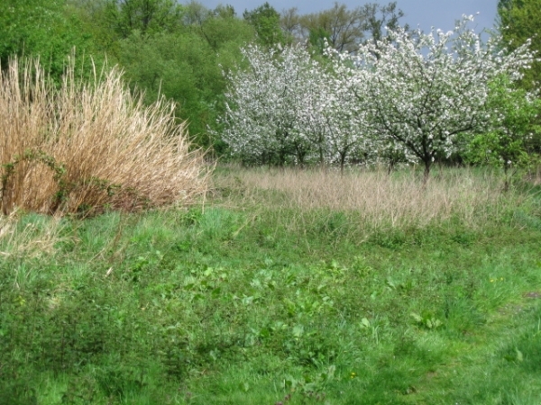 Sint-Rombouts en kapelletjes in Mei 024