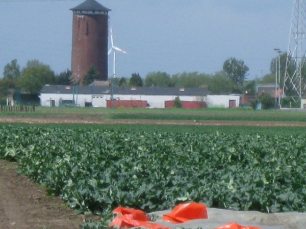 Sint-Rombouts en kapelletjes in Mei 025