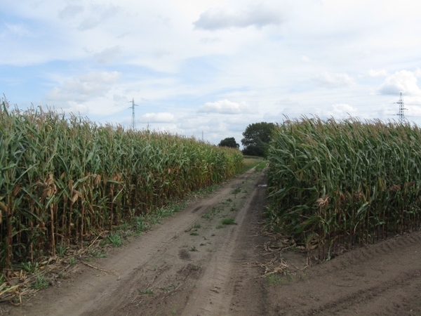 herfstwandeling 012