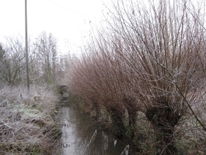 De Vorst 002