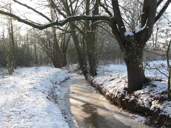 Winterwandeling 005