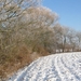 Winterwandeling 020