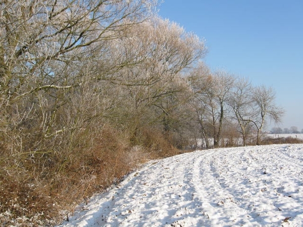 Winterwandeling 020