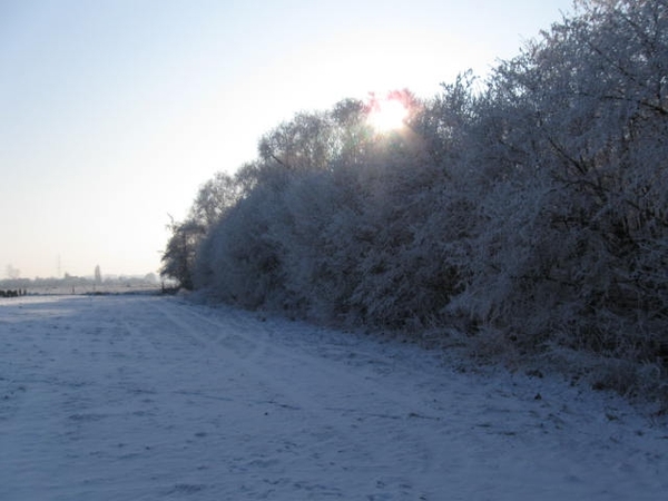 Winterwandeling 023