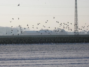 Winterwandeling 035