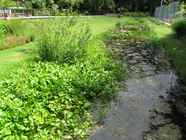 Dag van de mantelzorg Vrijbroekpark 013