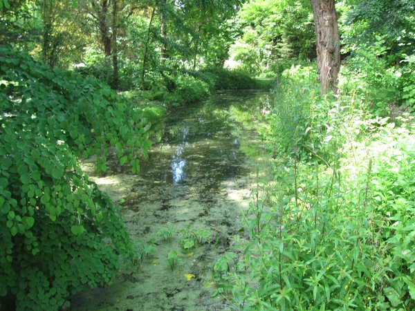 Dag van de mantelzorg Vrijbroekpark 014