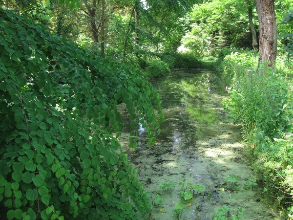 Dag van de mantelzorg Vrijbroekpark 015