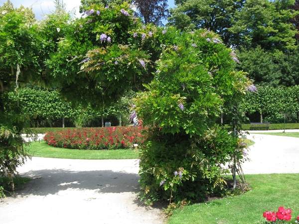 Dag van de mantelzorg Vrijbroekpark 023