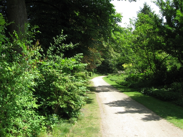 Dag van de mantelzorg Vrijbroekpark 026