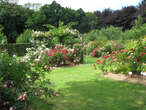 Dag van de mantelzorg Vrijbroekpark 032