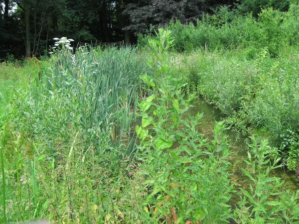 Dag van de mantelzorg Vrijbroekpark 046