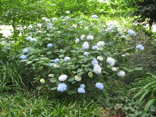 Dag van de mantelzorg Vrijbroekpark 053