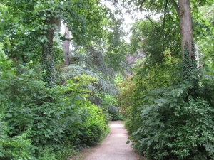 Dag van de mantelzorg Vrijbroekpark 056