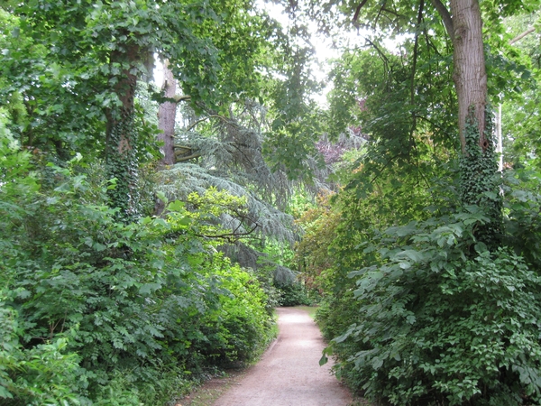 Dag van de mantelzorg Vrijbroekpark 056