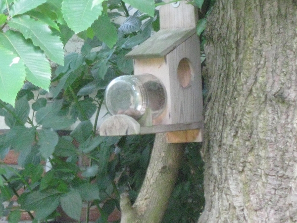 Dag van de mantelzorg Vrijbroekpark 059