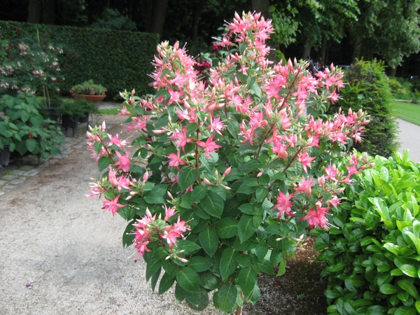 Dag van de mantelzorg Vrijbroekpark 065