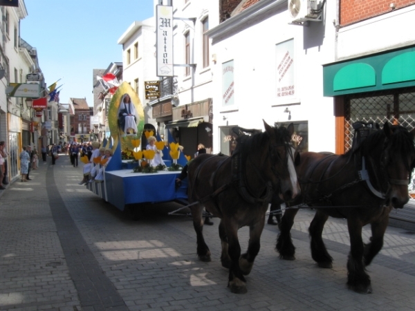 Halle Mariaprocessie 082