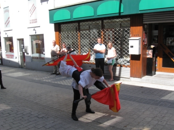 Halle Mariaprocessie 097